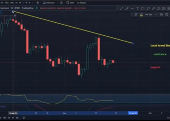 Bitcoin (BTC) to USDT chart over the 1 day timeframe