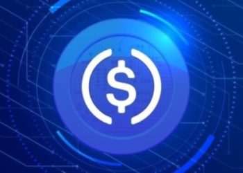 Circle CEO Comments On Binance’s USDC Delisting