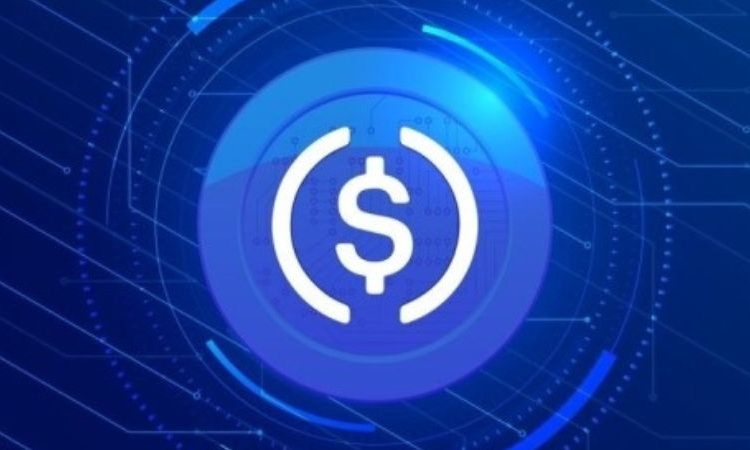 Circle CEO Comments On Binance’s USDC Delisting