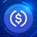 Circle CEO Comments On Binance’s USDC Delisting