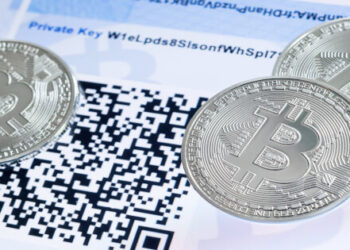Bitcoin’s Small to Mid-Sized Addresses Continue Going Through the Roof