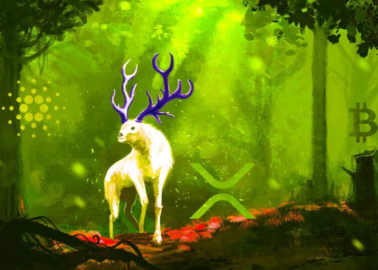 Bitcoin, Cardano, XRP and One Ethereum Competitor Are Now Flashing Bullish Signal: Santiment