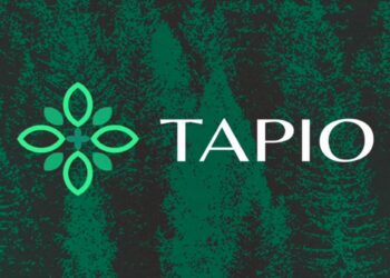 Polkadot Synthetic Asset Protocol Tapio Acquires $4m in Funding