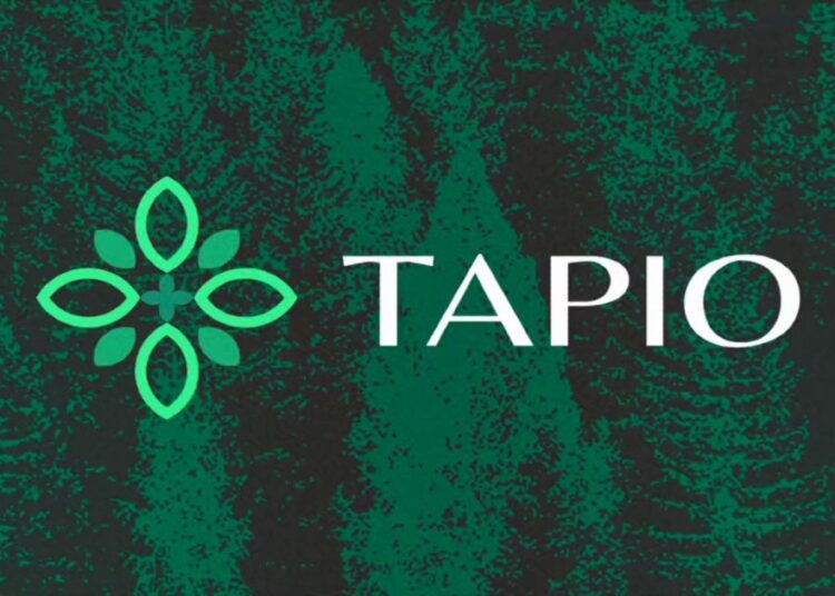 Polkadot Synthetic Asset Protocol Tapio Acquires $4m in Funding
