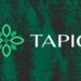 Polkadot Synthetic Asset Protocol Tapio Acquires $4m in Funding