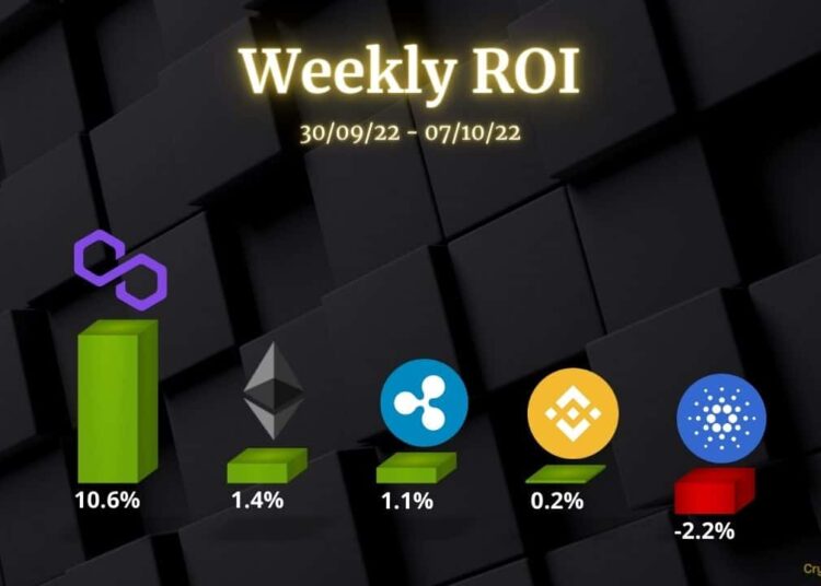 Ethereum, Ripple, Cardano, Binance Coin, and Polygon