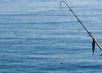 Monkey Drainer Steals $1M Worth of Crypto in Elaborate Phishing Attack