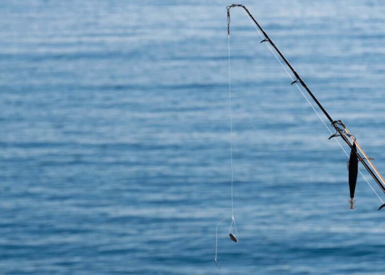 Monkey Drainer Steals $1M Worth of Crypto in Elaborate Phishing Attack