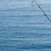Monkey Drainer Steals $1M Worth of Crypto in Elaborate Phishing Attack