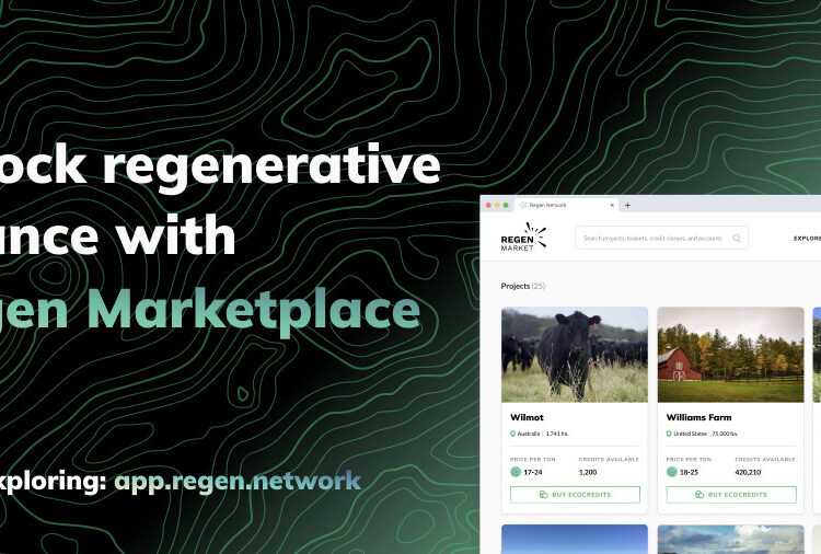 Carbon Offsetting for Blockchains & Beyond: Regen Network Launches Carbon Marketplace