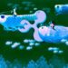 Ripple’s XRP Holdings Sink Below 50% of the Outstanding Supply for the First Time, According To Quarterly Report