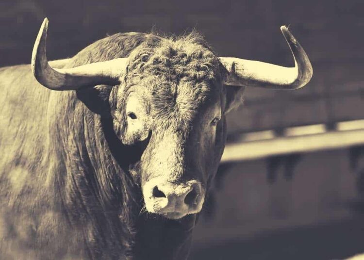 Bitcoin’s Next Bull Run Will Start in 2023 According to Bitwise CEO