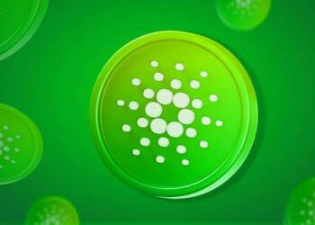 Cardano starts a bull run in a bear market as activities increase