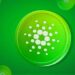 Cardano starts a bull run in a bear market as activities increase