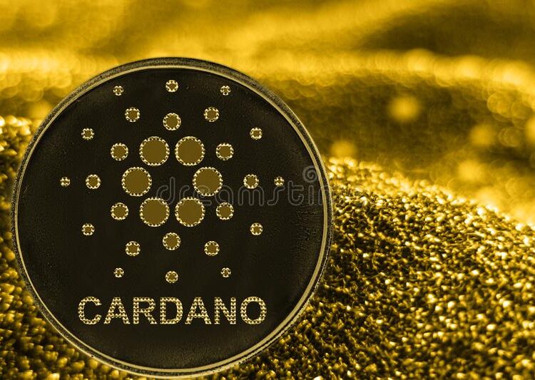 Cardano is in a bullrun despite bear market