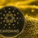 Cardano is in a bullrun despite bear market