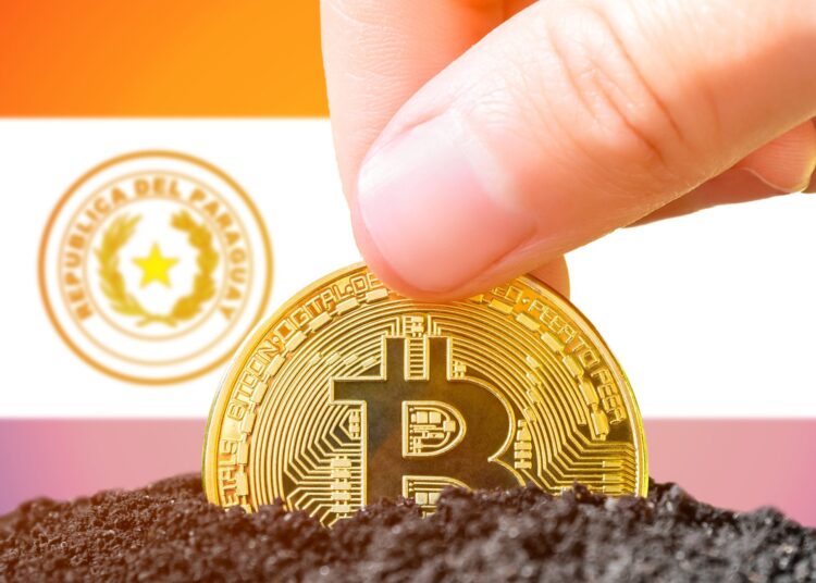 Bitcoin Miner Pow.re Begins Mining Facility Construction in Paraguay, Acquires 3,600 Microbt ASICs – Mining Bitcoin News