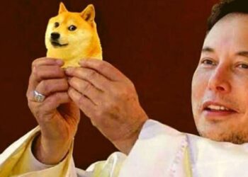 Dogecoin Posts Stunning Rally As Elon Musk Takes Over Twitter