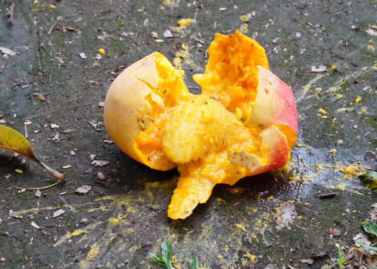 Solana-Based Defi Protocol Mango Markets Loses $117 Million in Hack, Exploit Allegedly Revealed in Project’s Discord in March – Bitcoin News