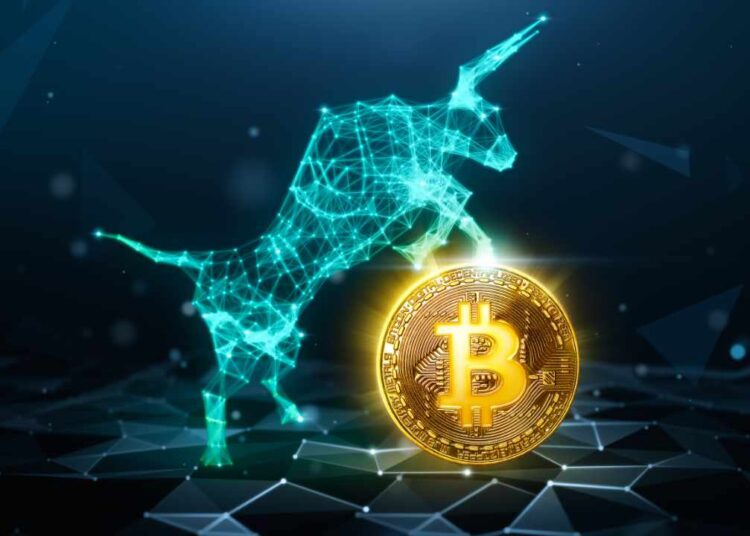 Investment Strategist Discusses Bitcoin ‘Entering Unstoppable Maturation Stage’ — Says Price Should Continue to Rise – Markets and Prices Bitcoin News