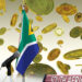 South African Financial Sector Regulator Declares Crypto Assets a Financial Product – Regulation Bitcoin News