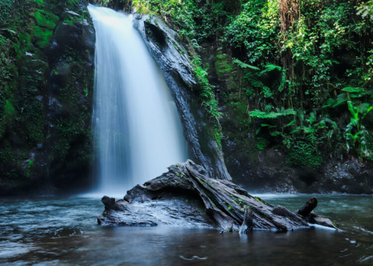 Kenyan Firm Using Wasted Energy to Mine Bitcoin — Business Model Said to Potentially Help Decentralize Mining – Mining Bitcoin News