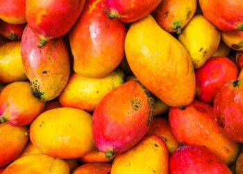 Mango Markets Hack Sees Attacker Siphon Off $117 Million