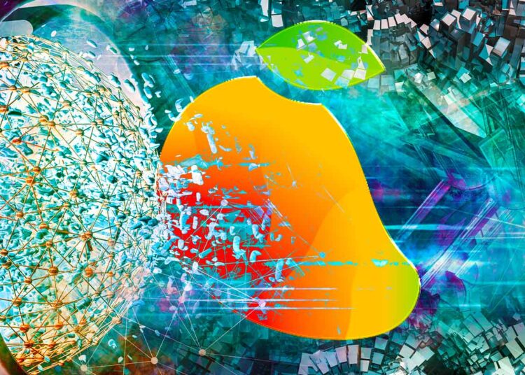 Solana-Based Crypto Trading Platform Mango Markets Primed To Cut Deal With Hacker Behind $100,000,000 Exploit