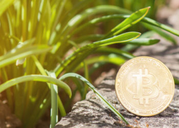 Is crypto winter coming to an end?
