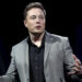Elon Musk Weighs in on Sam Bankman-Fried Post FTX Meltdown
