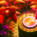 Top Crypto Analyst Predicts Big Breakout for One Ethereum-Based Altcoin, Updates Outlook on Dogecoin and Polygon