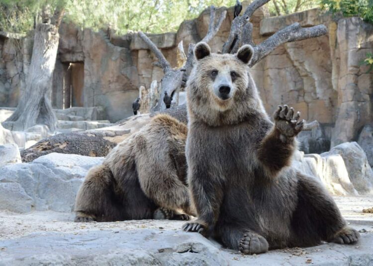 These Crypto Companies Slashed Their Workforce Since the Market Crash in April