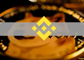 If Binance or Tether Collapse, it’s Game Over for Crypto, DOGE’s Founder Says