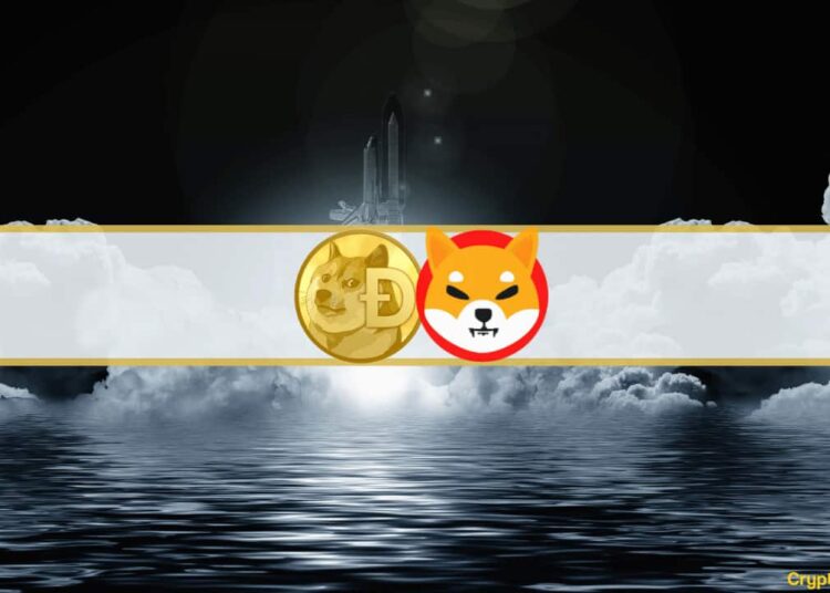 Dogecoin Soars 25%, Shiba Inu Up 8% (Market Watch)