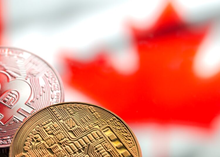 Bitvo abandons FTX purchase | Blockchain News