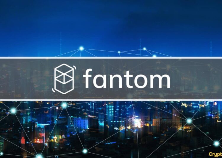 Andre Cronje on What’s it Like to be a Crypto Company