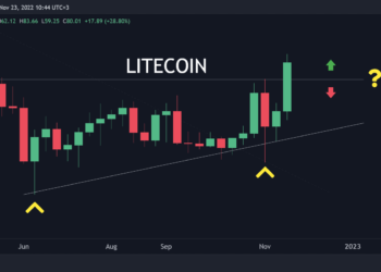 LTC Leads Market Recovery with 29% Gains in 24 Hours (Litecoin Price Analysis)