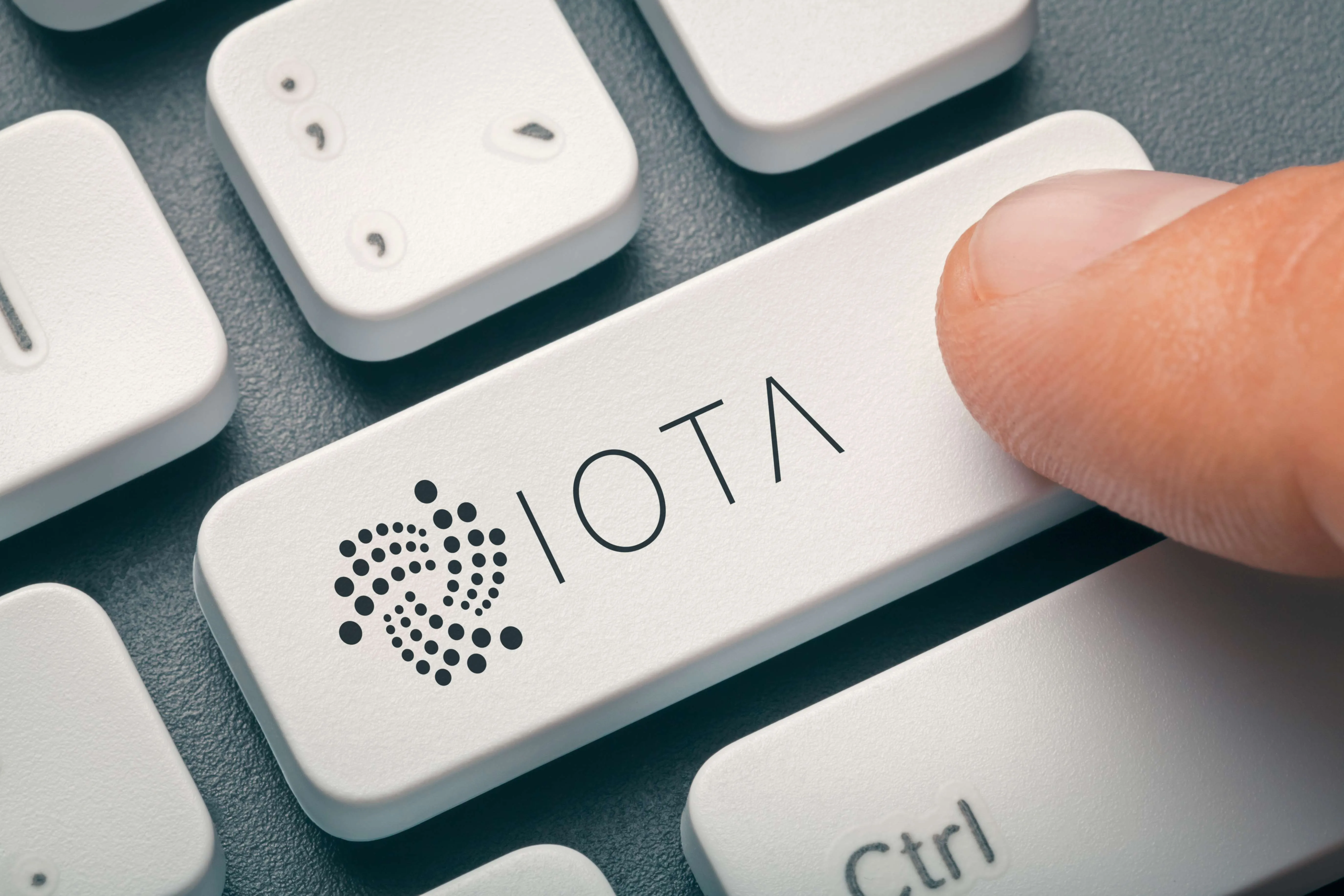 IOTA: Activity on Shimmer Rising