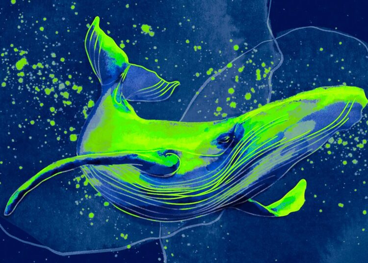 Whales Scoop Up One Ethereum-Based Altcoin While Dumping FTX and Crypto.com Exchange Tokens: Santiment