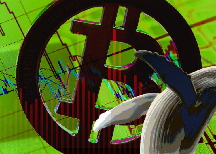 Retail begins accumulating Bitcoin while whales continue to sell
