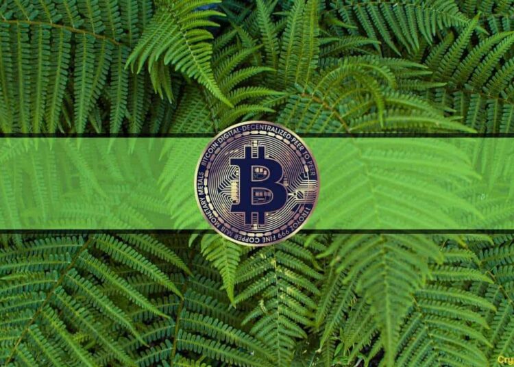 Bitcoin Closes Highest Daily Candle Since September 12th (Market Watch)