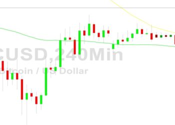 Bitcoin Price Analysis: Bears Eye 15746