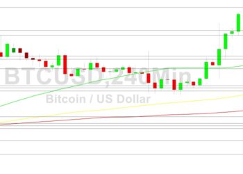 Bitcoin Price Analysis: Stops Hit Above 20836
