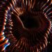 Cardano Creator Charles Hoskinson Says FTX Implosion Will Cause Issues for Whole Crypto Industry – Here’s Why