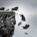 FTX Collapse Is Yet Another Nail In The Coffin For…