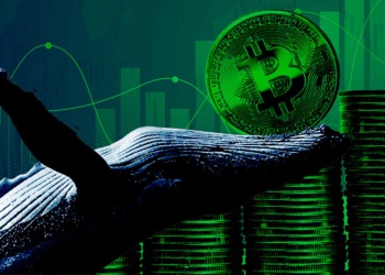 FTX implosion leads to aggressive Bitcoin accumulation for investors