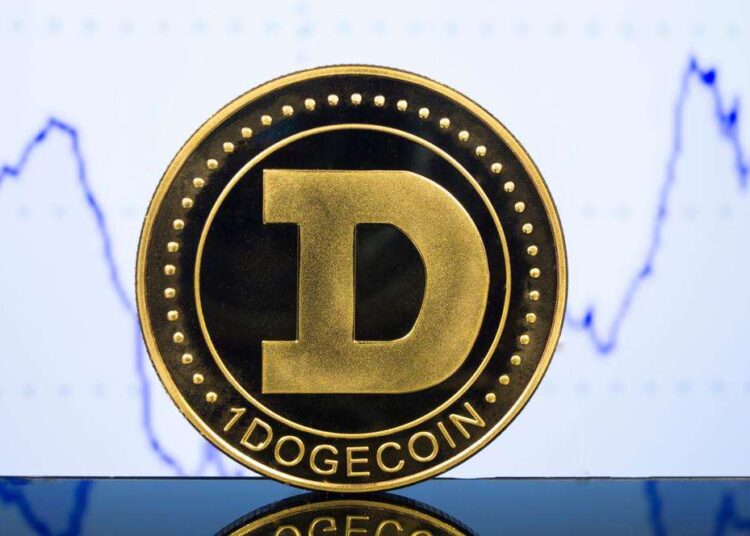 Dogecoin skyrockets 142% as Elon Musk confirms DOGE integration