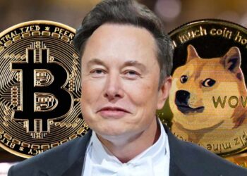 Bitcoin Will Make It — Dogecoin to the Moon – Markets and Prices Bitcoin News