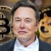 Bitcoin Will Make It — Dogecoin to the Moon – Markets and Prices Bitcoin News