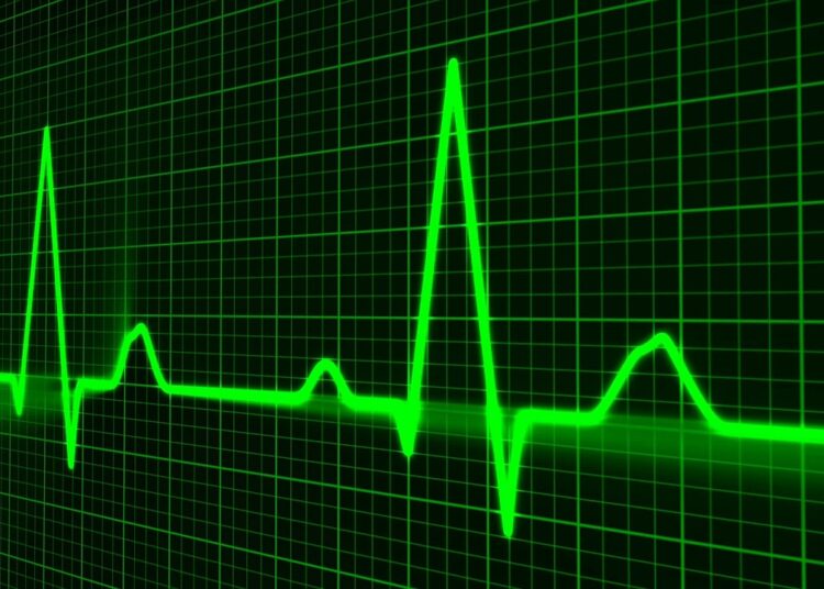 Solana ecosystem explodes by 8M daily new NFTs